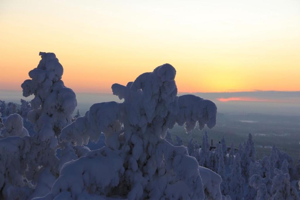 Motel Willis West Ruka Zewnętrze zdjęcie